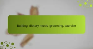 Bulldog: dietary needs, grooming, exercise