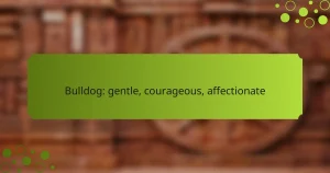 Bulldog: gentle, courageous, affectionate