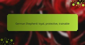 German Shepherd: loyal, protective, trainable