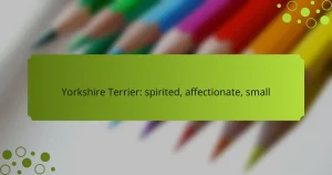 Yorkshire Terrier: spirited, affectionate, small