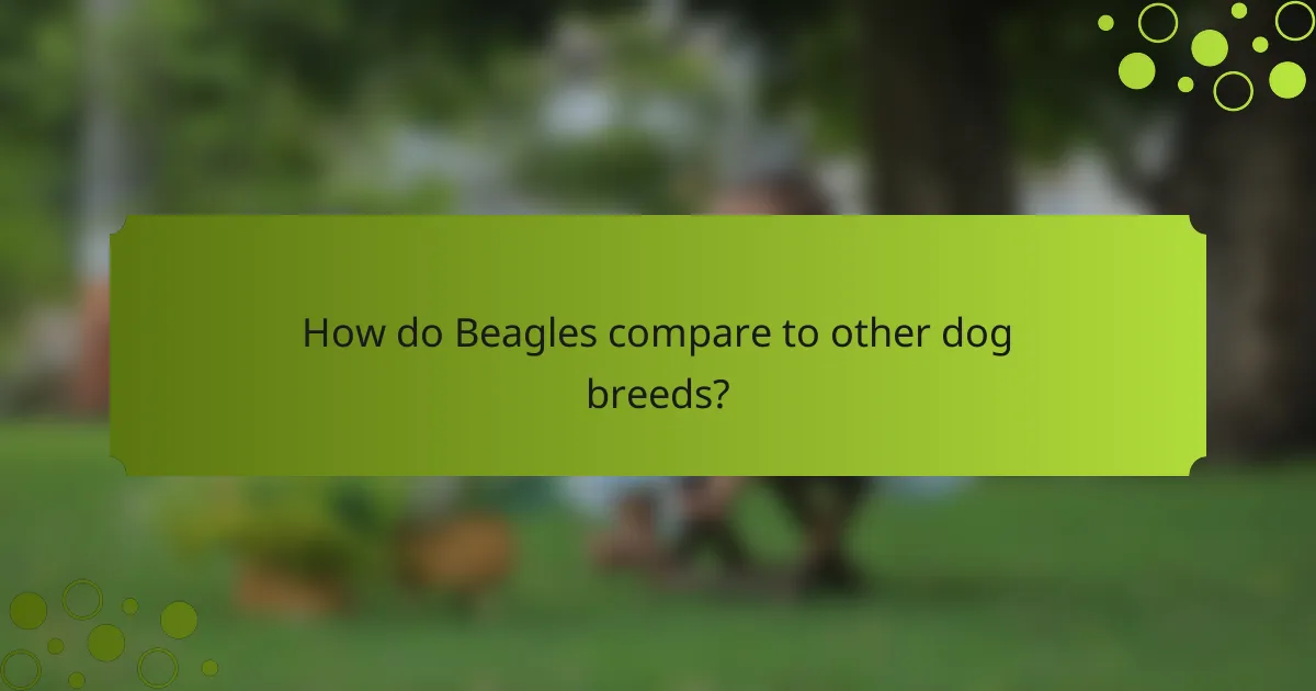 How do Beagles compare to other dog breeds?