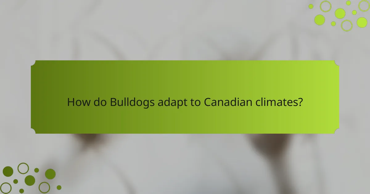 How do Bulldogs adapt to Canadian climates?
