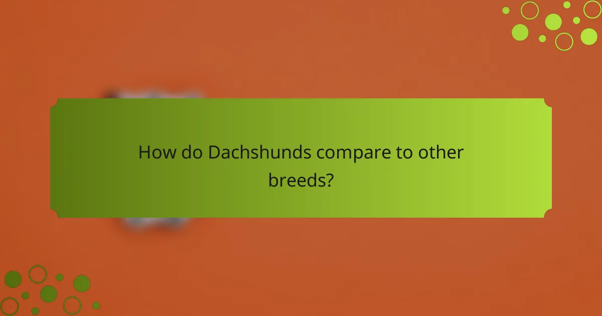 How do Dachshunds compare to other breeds?