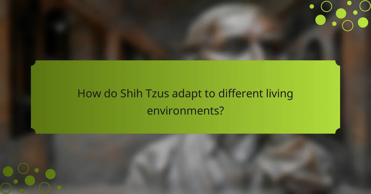 How do Shih Tzus adapt to different living environments?