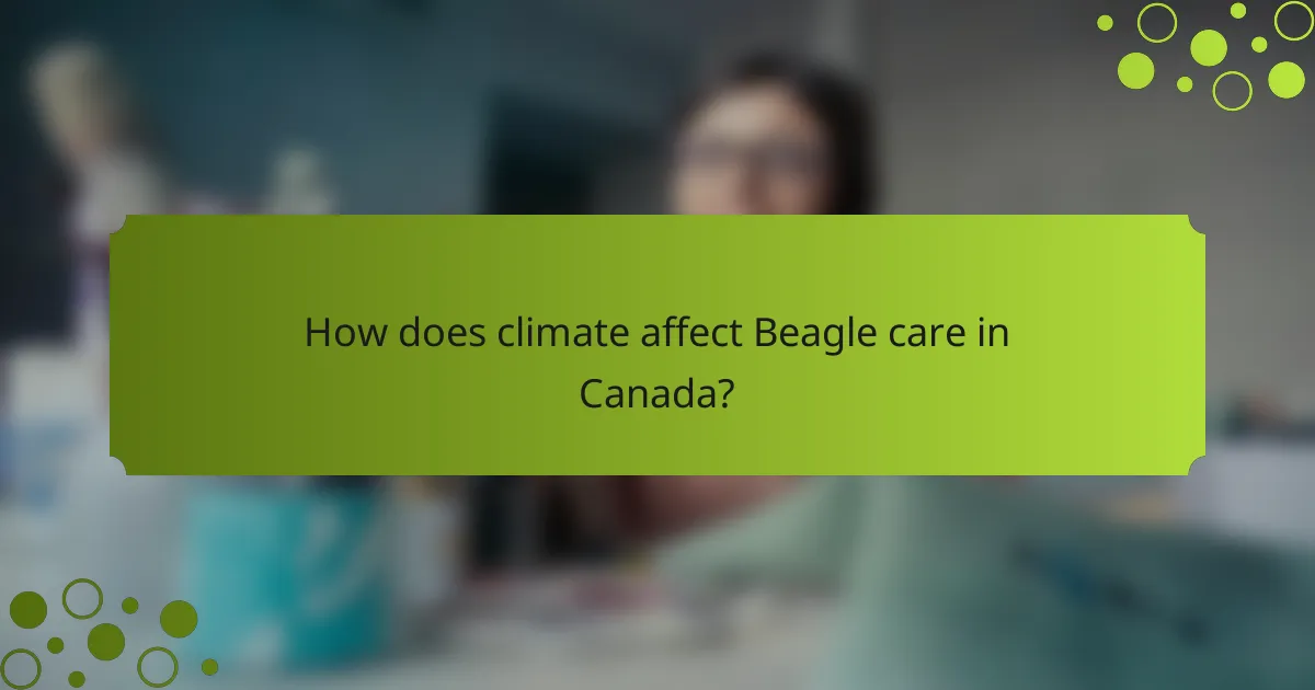 How does climate affect Beagle care in Canada?
