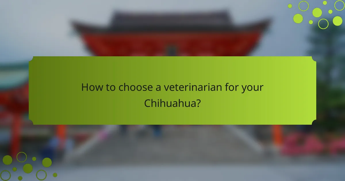 How to choose a veterinarian for your Chihuahua?