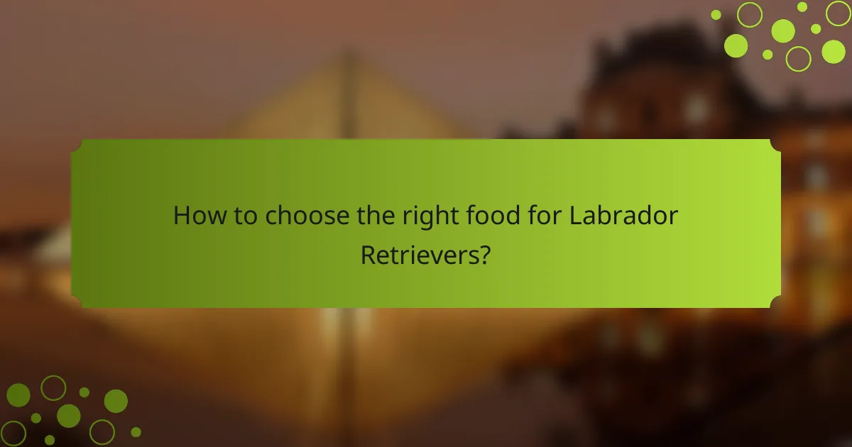 How to choose the right food for Labrador Retrievers?