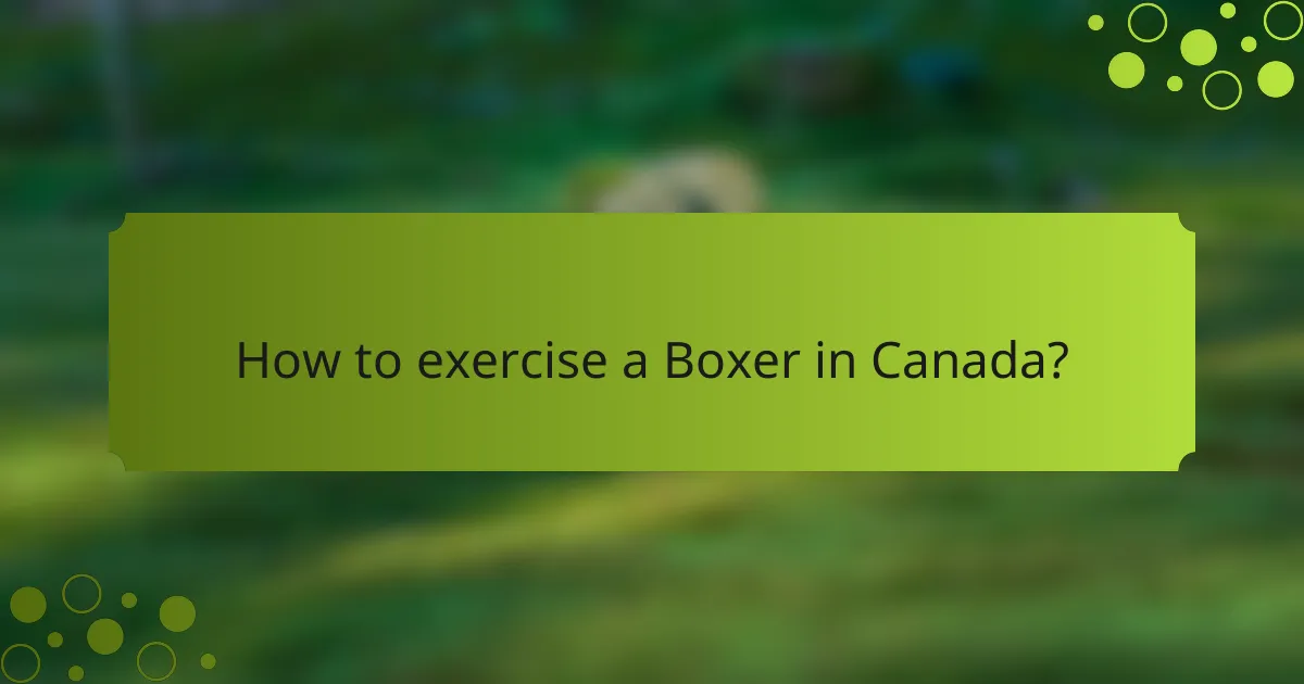 How to exercise a Boxer in Canada?
