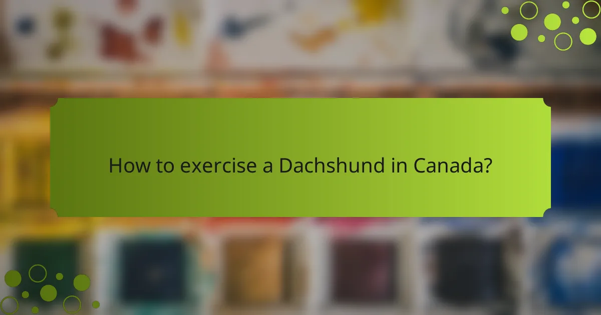 How to exercise a Dachshund in Canada?