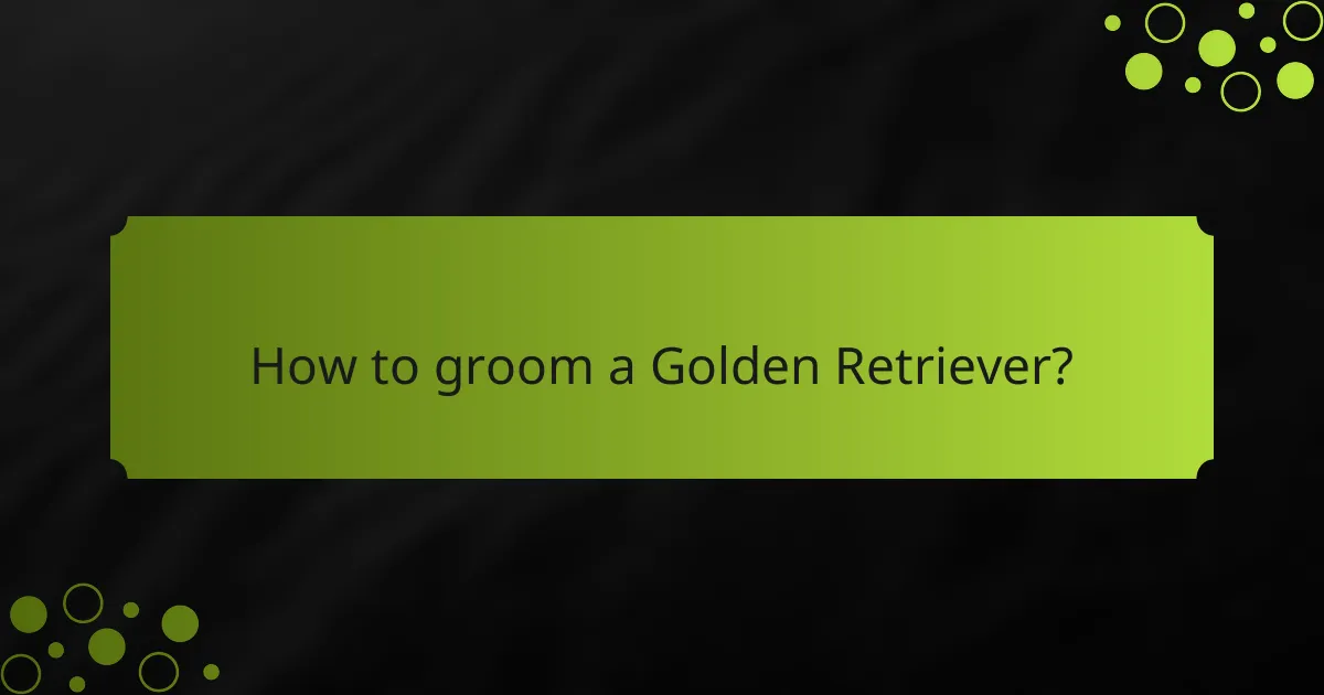 How to groom a Golden Retriever?