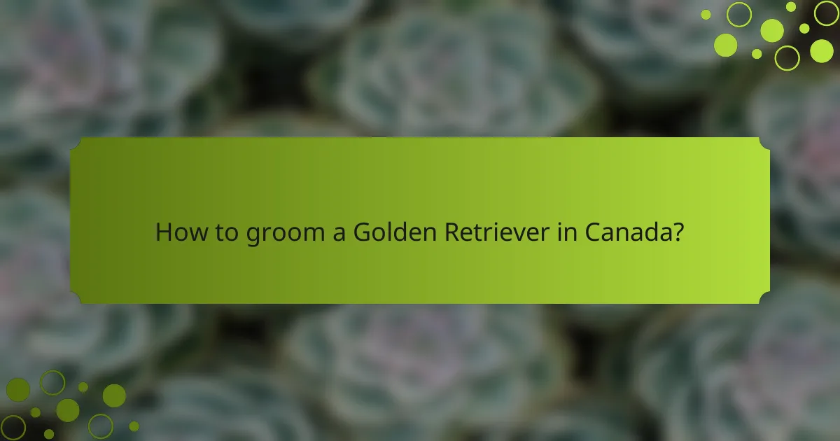 How to groom a Golden Retriever in Canada?