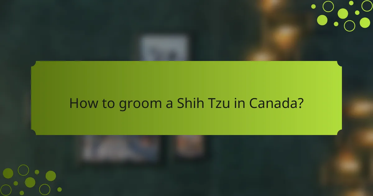 How to groom a Shih Tzu in Canada?