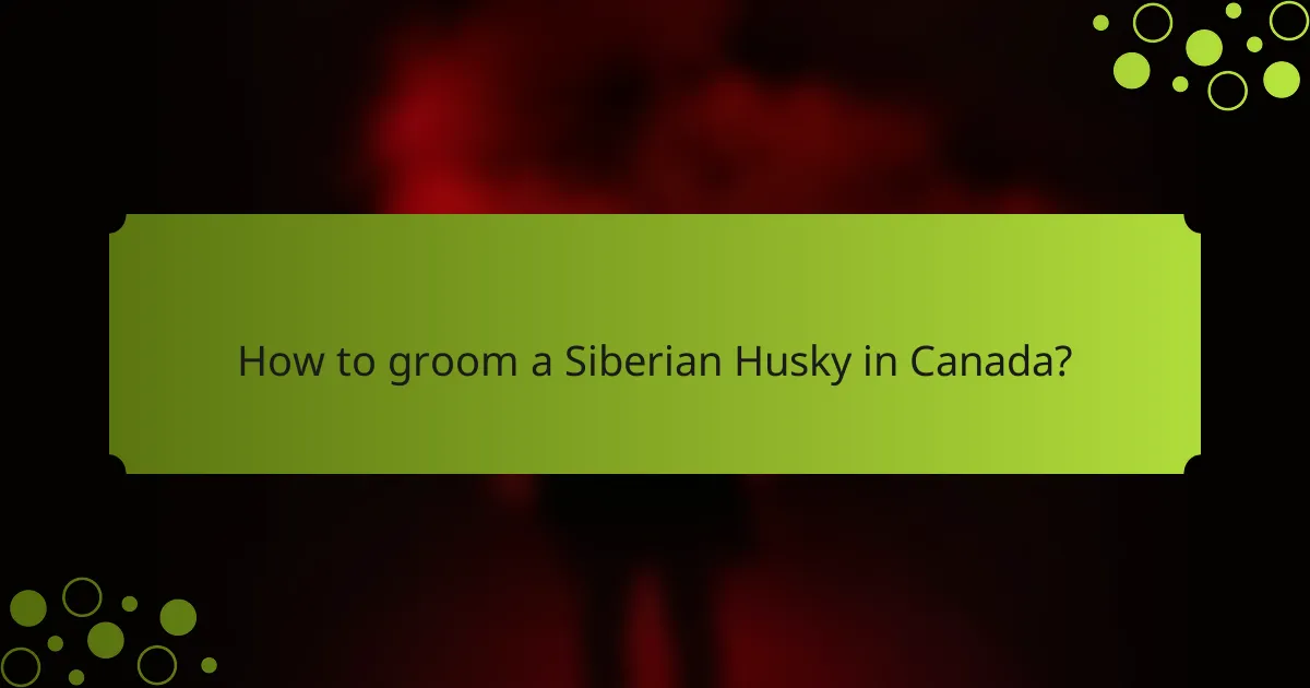 How to groom a Siberian Husky in Canada?