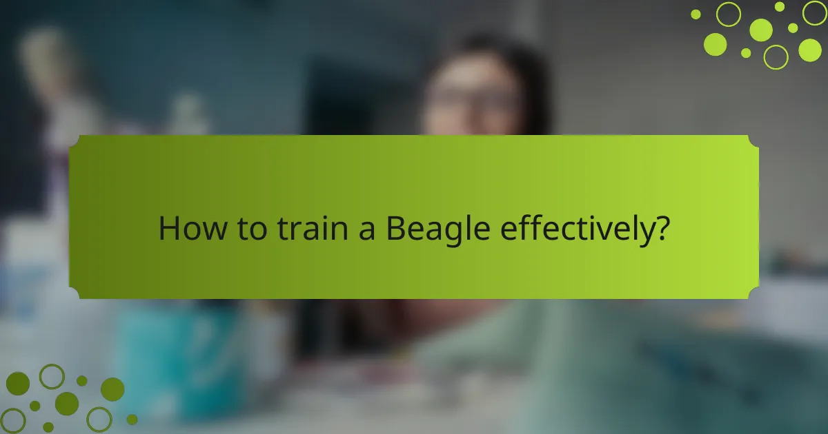 How to train a Beagle effectively?