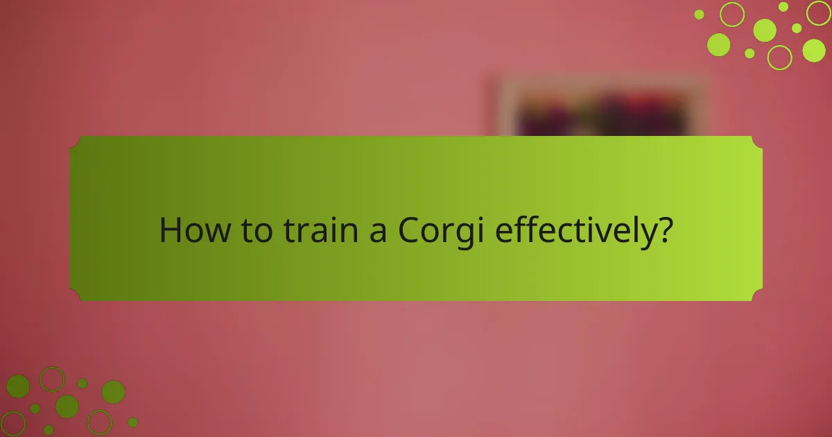 How to train a Corgi effectively?