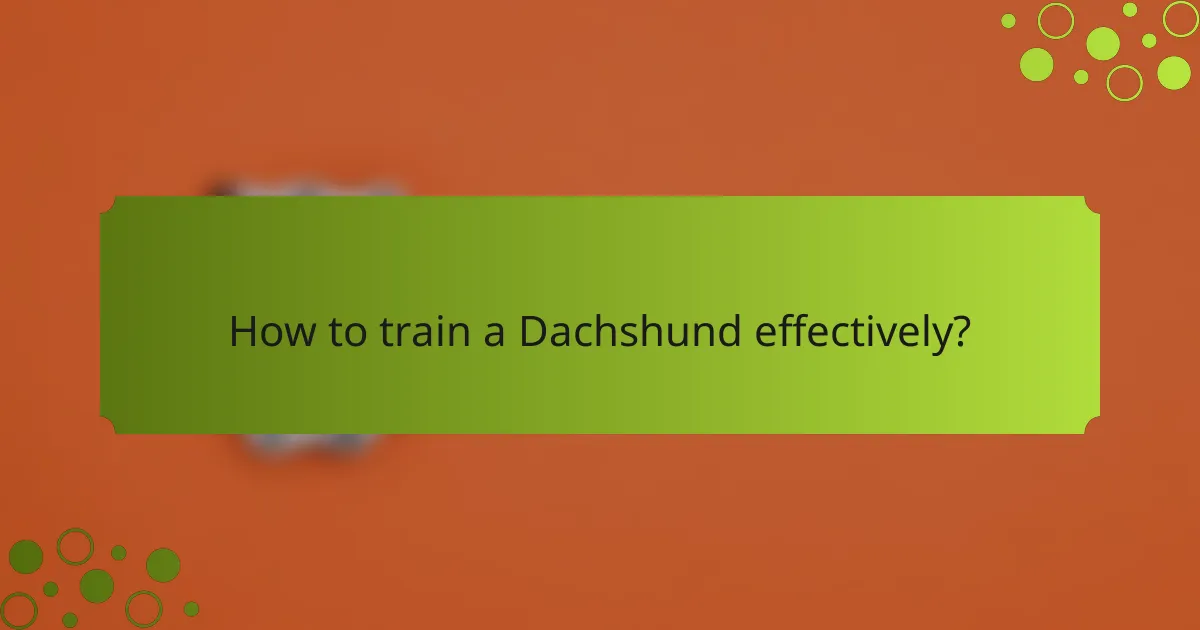 How to train a Dachshund effectively?