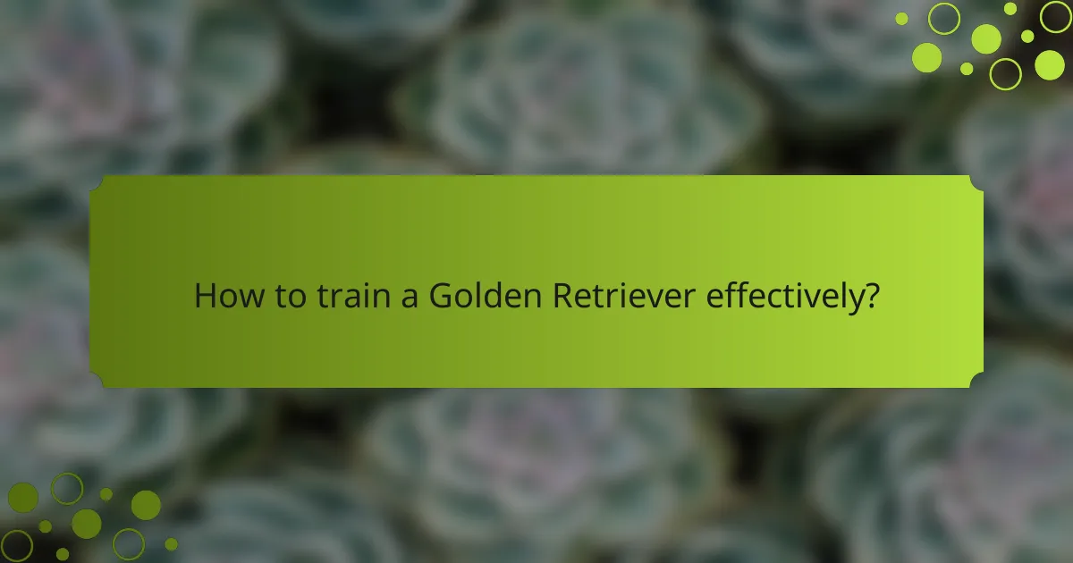 How to train a Golden Retriever effectively?