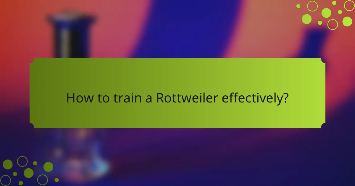 How to train a Rottweiler effectively?
