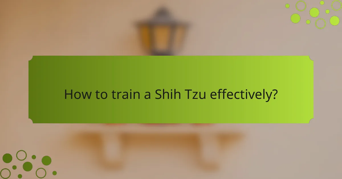 How to train a Shih Tzu effectively?