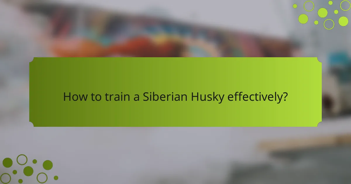 How to train a Siberian Husky effectively?