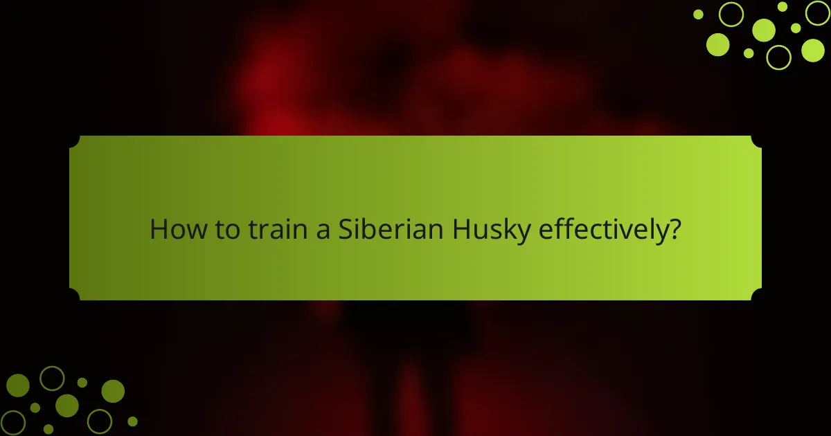 How to train a Siberian Husky effectively?
