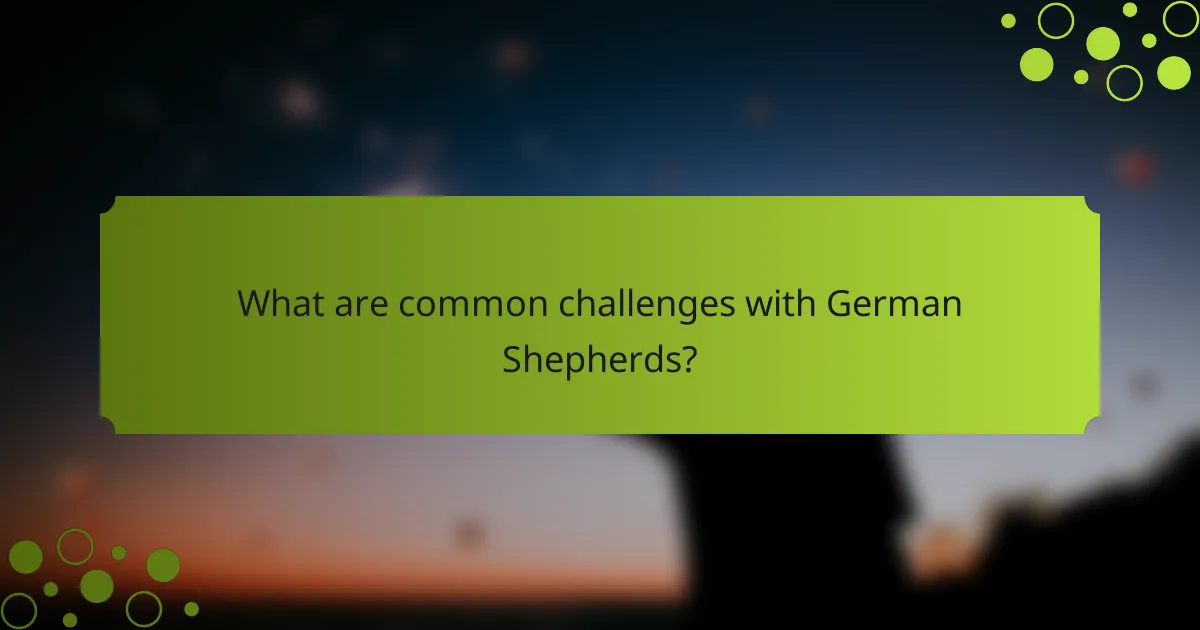 What are common challenges with German Shepherds?