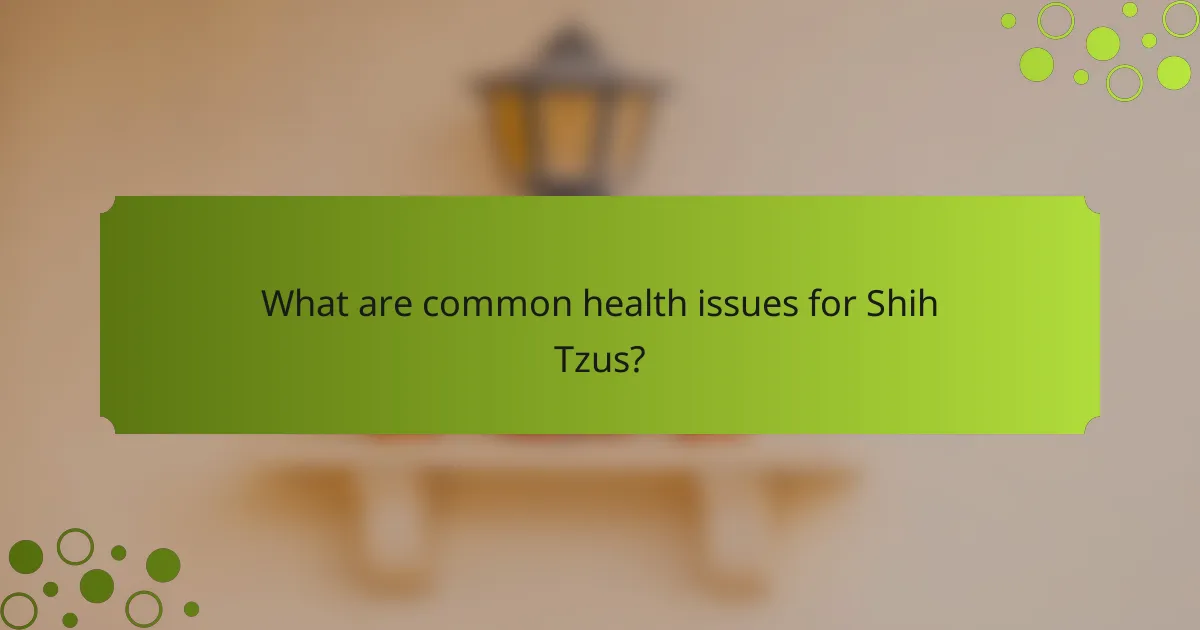 What are common health issues for Shih Tzus?