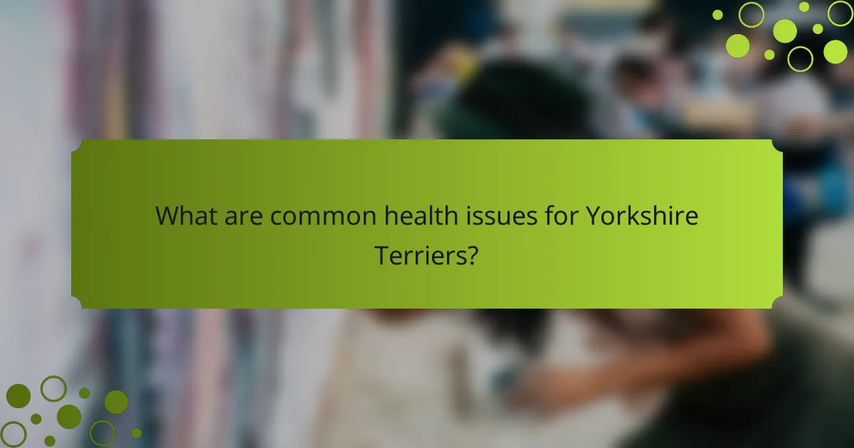 What are common health issues for Yorkshire Terriers?