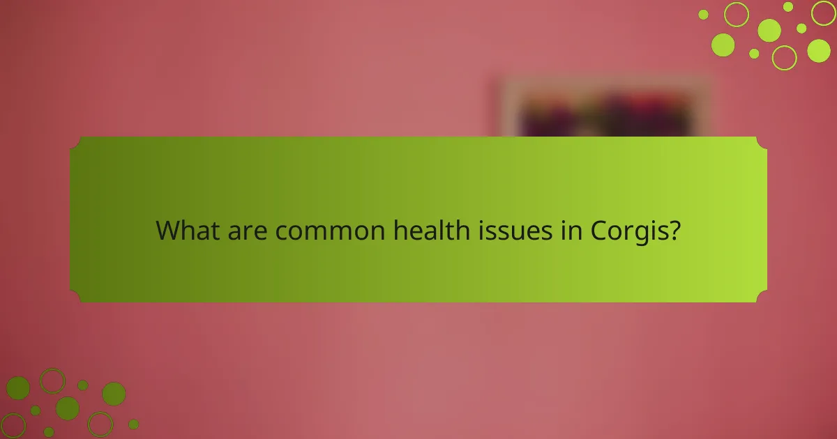 What are common health issues in Corgis?