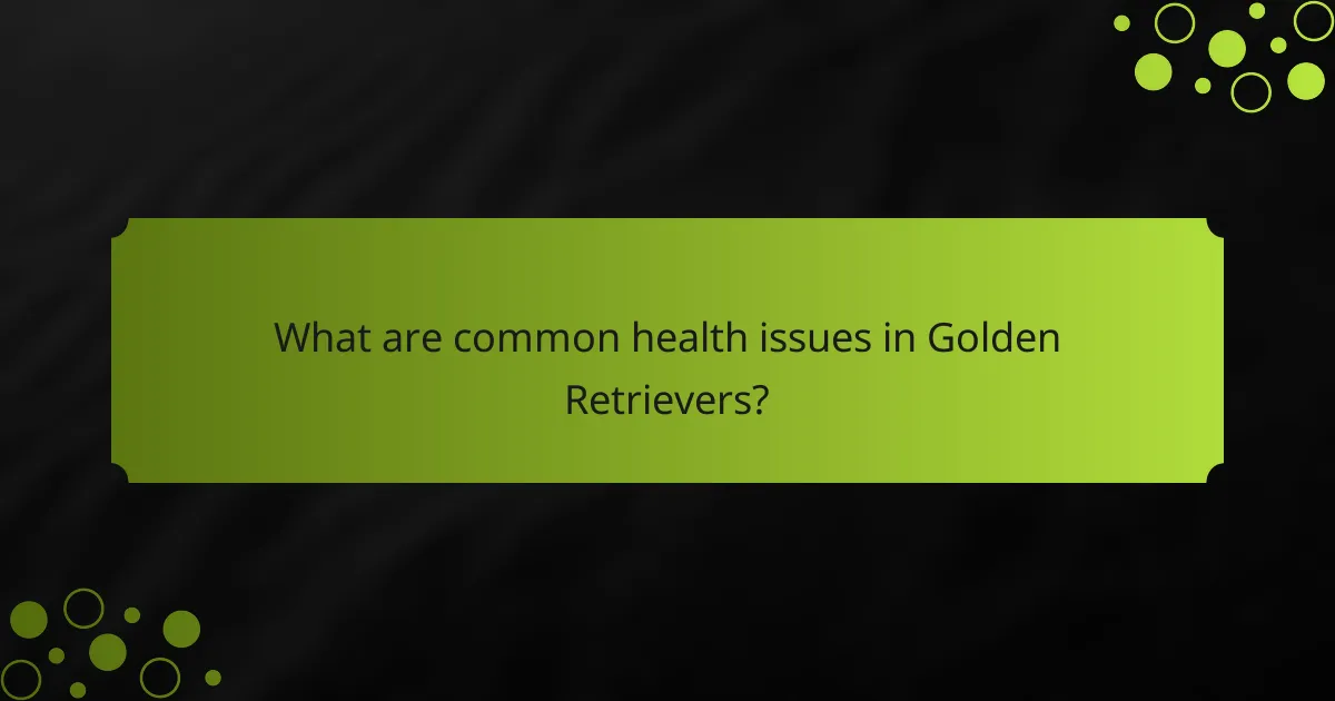 What are common health issues in Golden Retrievers?