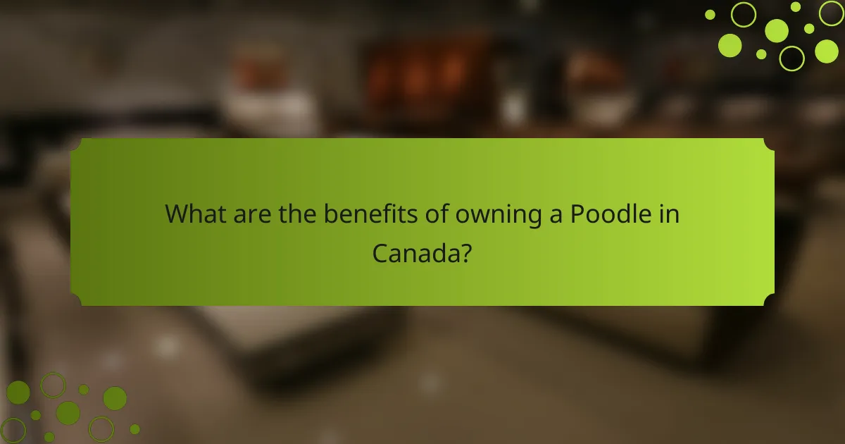 What are the benefits of owning a Poodle in Canada?