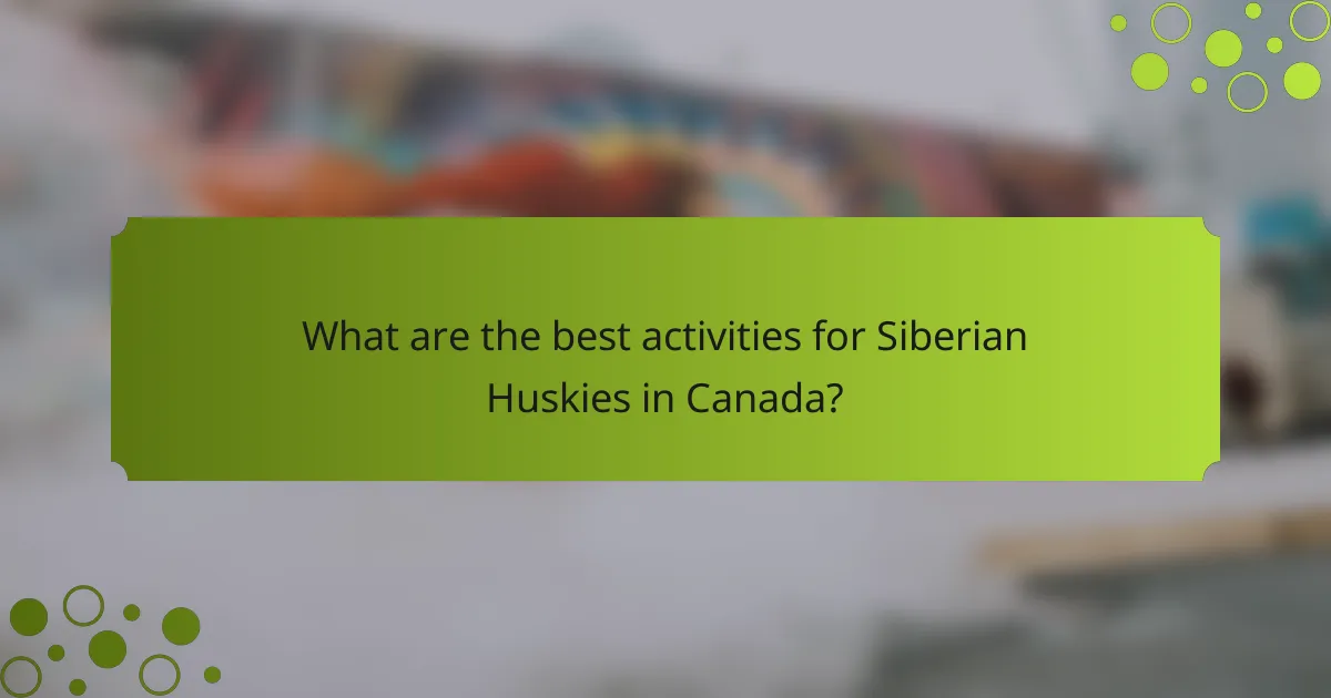 What are the best activities for Siberian Huskies in Canada?