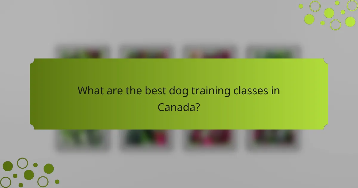 What are the best dog training classes in Canada?