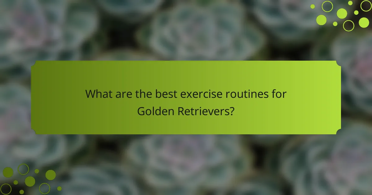 What are the best exercise routines for Golden Retrievers?