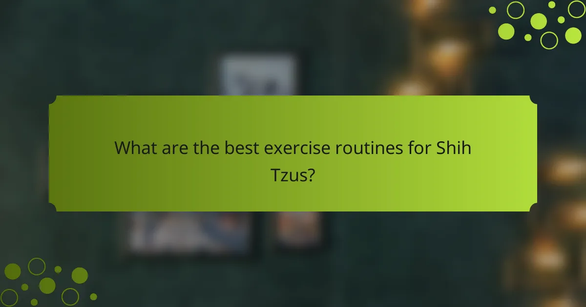 What are the best exercise routines for Shih Tzus?