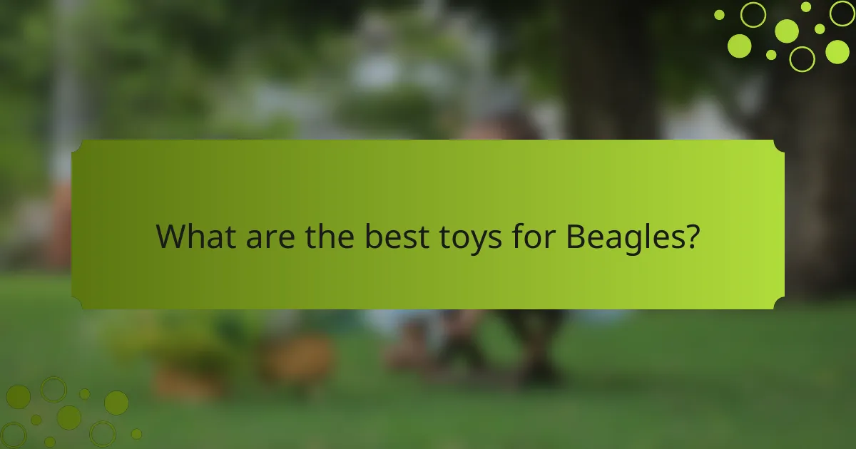What are the best toys for Beagles?