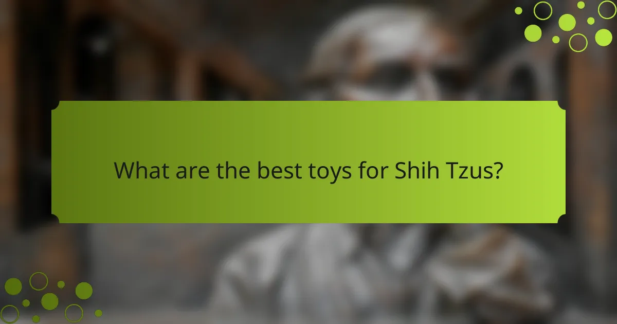 What are the best toys for Shih Tzus?