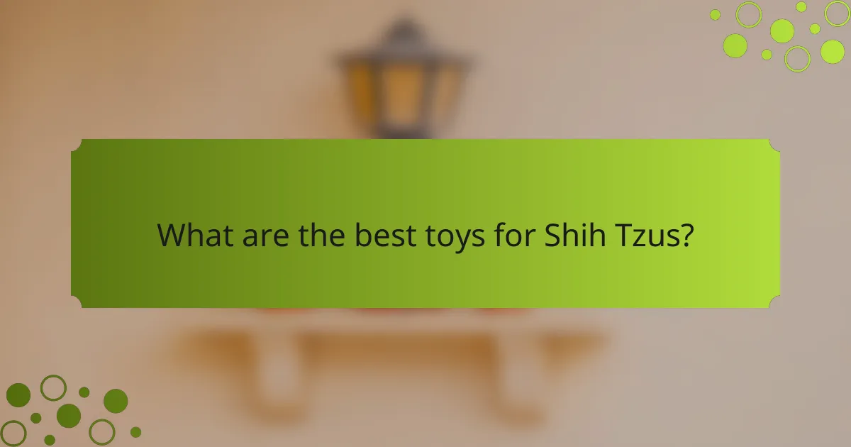 What are the best toys for Shih Tzus?