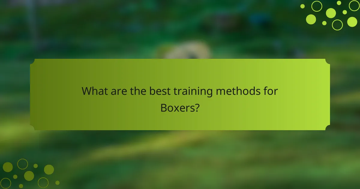 What are the best training methods for Boxers?