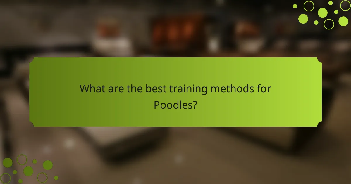 What are the best training methods for Poodles?