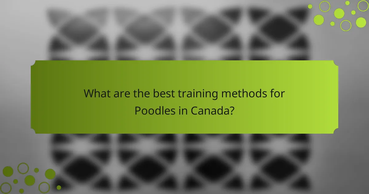 What are the best training methods for Poodles in Canada?