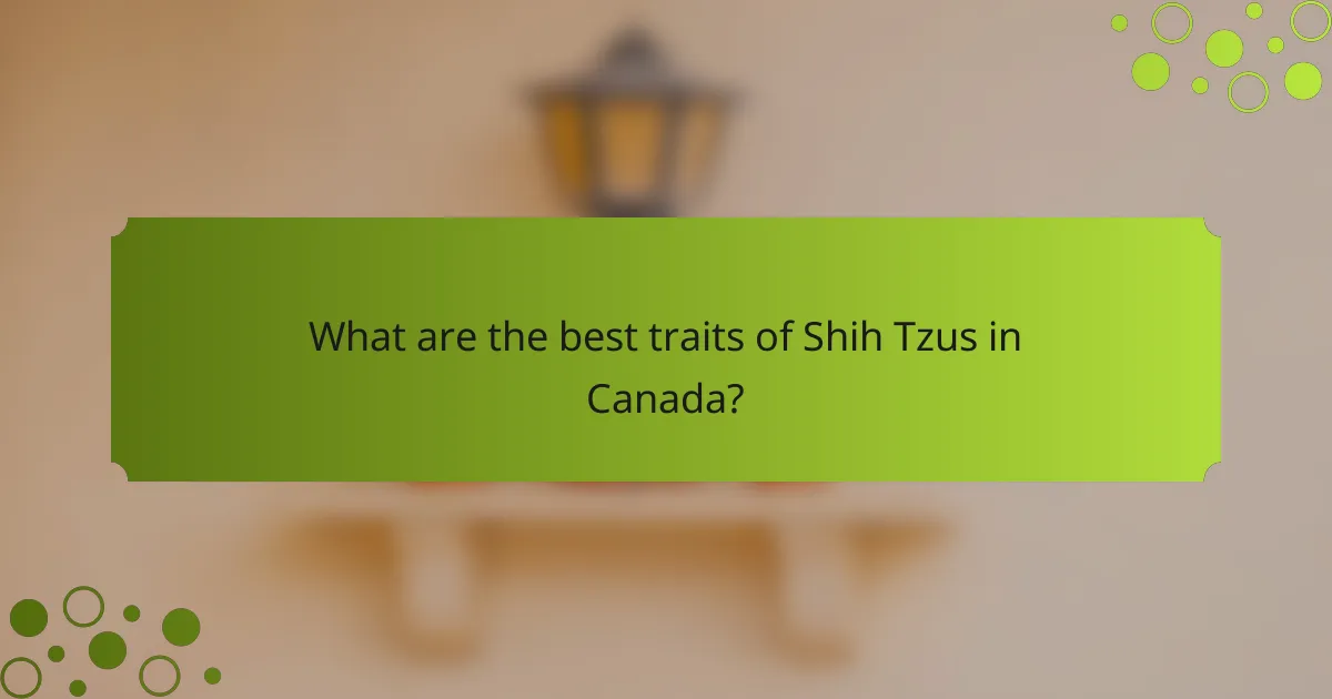 What are the best traits of Shih Tzus in Canada?