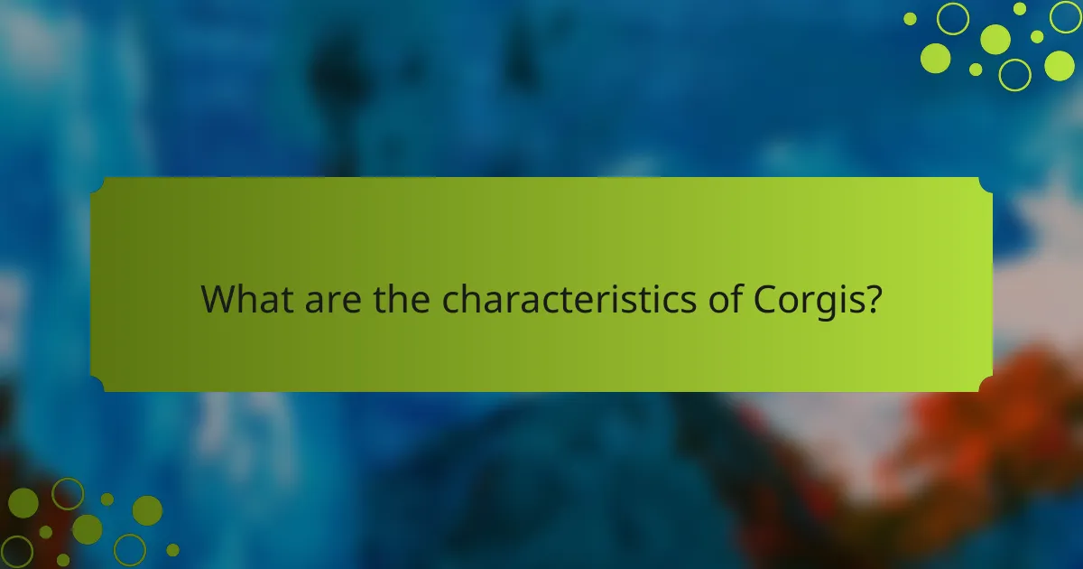 What are the characteristics of Corgis?