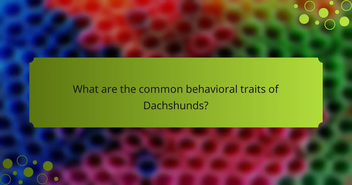 What are the common behavioral traits of Dachshunds?