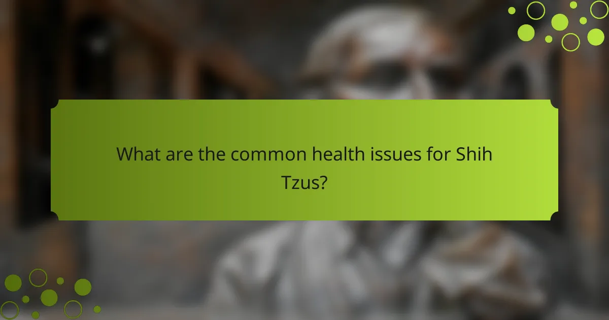 What are the common health issues for Shih Tzus?