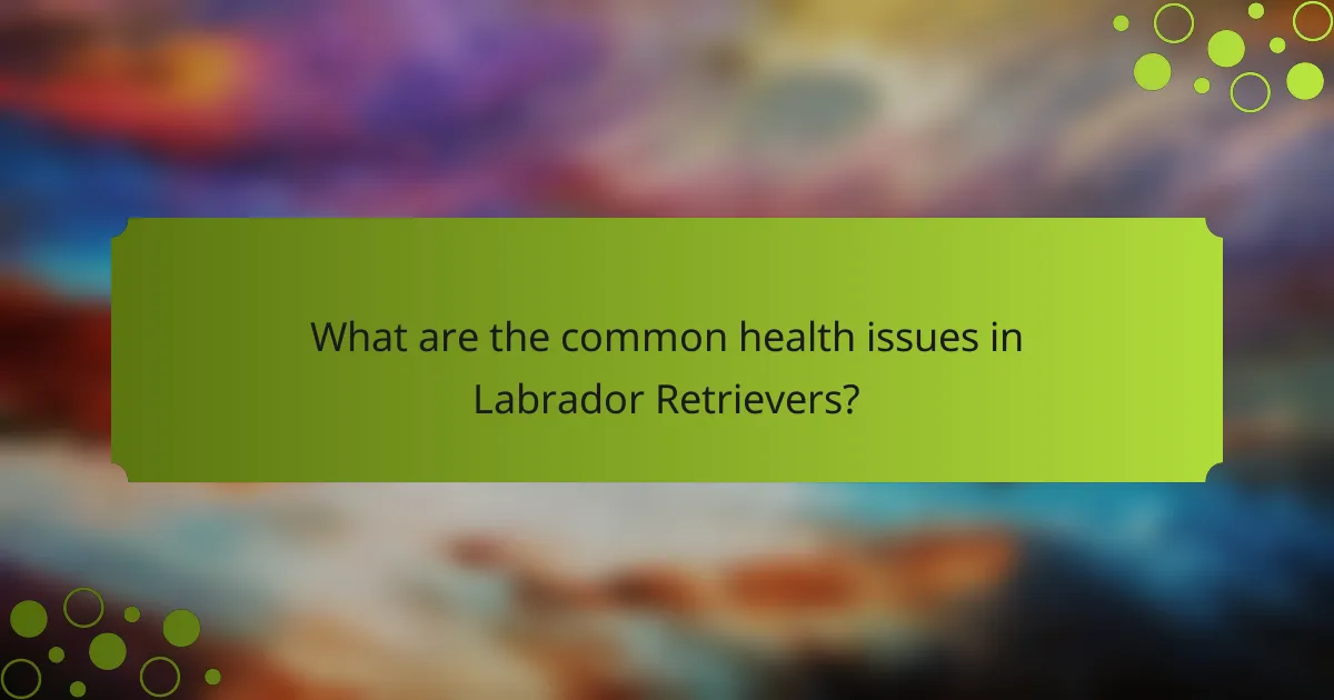 What are the common health issues in Labrador Retrievers?