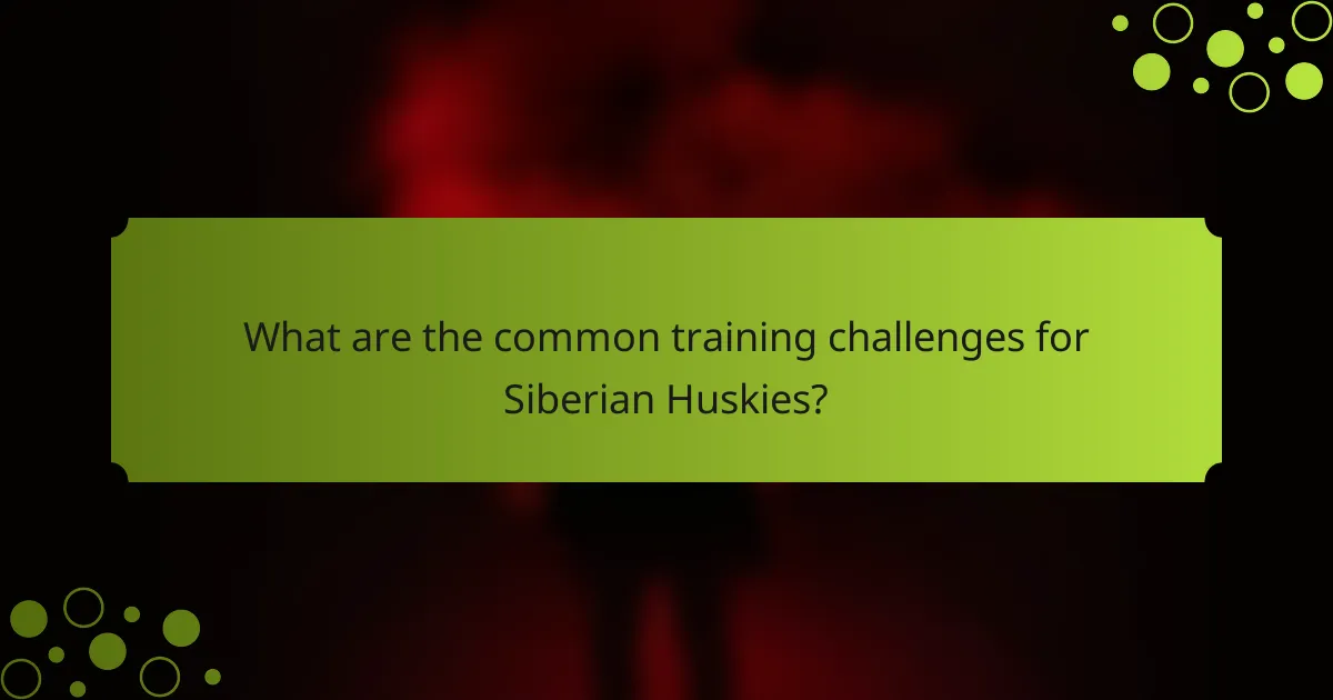 What are the common training challenges for Siberian Huskies?