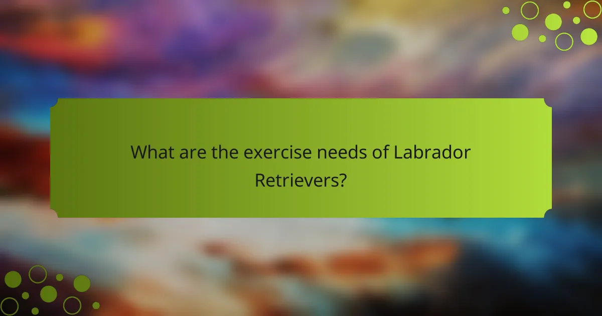 What are the exercise needs of Labrador Retrievers?