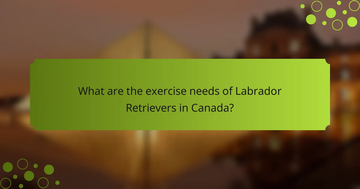 What are the exercise needs of Labrador Retrievers in Canada?