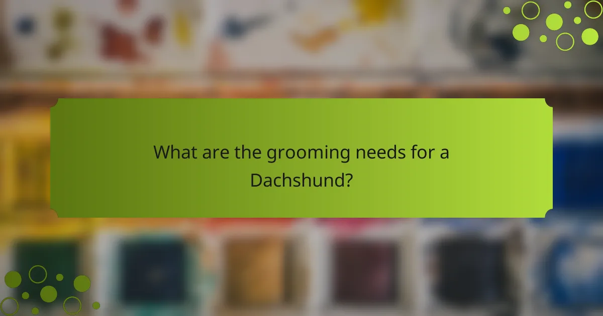 What are the grooming needs for a Dachshund?